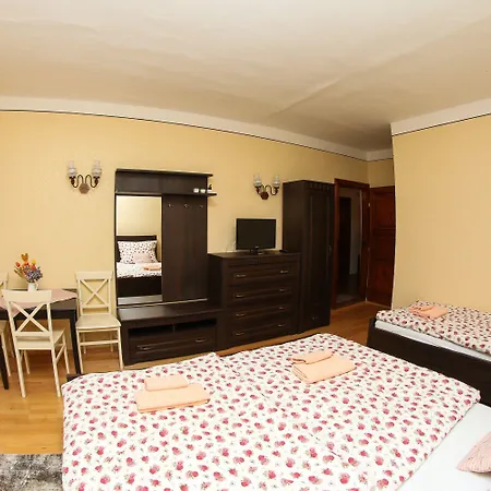 Mini Hotel Abraka & Apartments 4*
